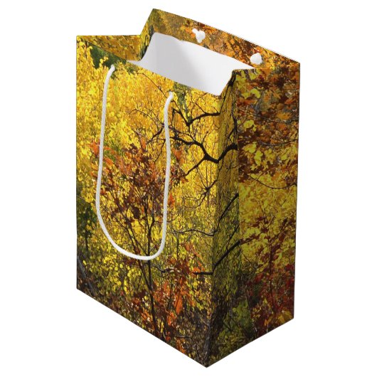 Fall Colors Medium Cadeauzakje (Voorkant Gekanteld)