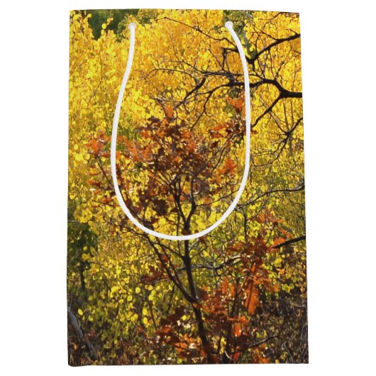 Fall Colors Medium Cadeauzakje (Voorkant)