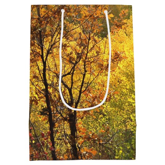 Fall Colors Medium Cadeauzakje (Achterkant)