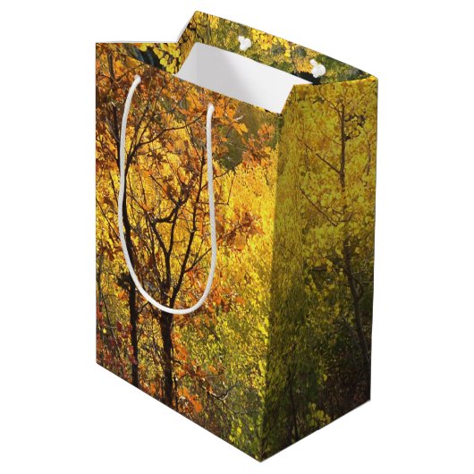 Fall Colors Medium Cadeauzakje (Achterkant Gekanteld)