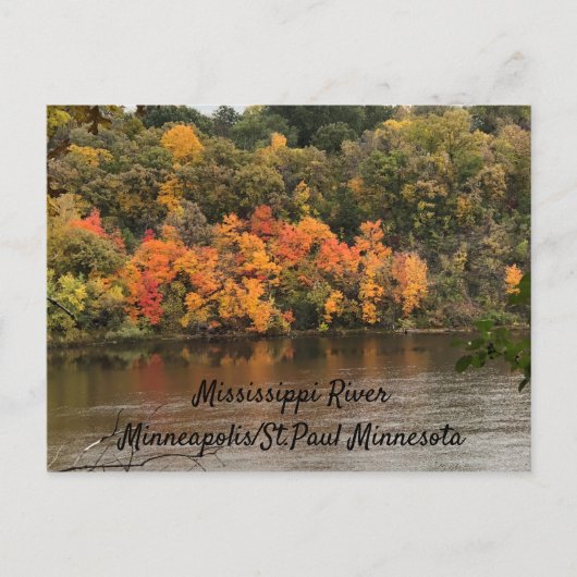 Fall Colors Mississippi Minneapolis Briefkaart (Voorkant)