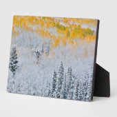 Fall Colors of Aspens | Rocky Mountains, Colorado Fotoplaat (Zijkant)