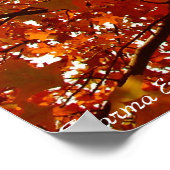Fall Colors Poster (Hoek)