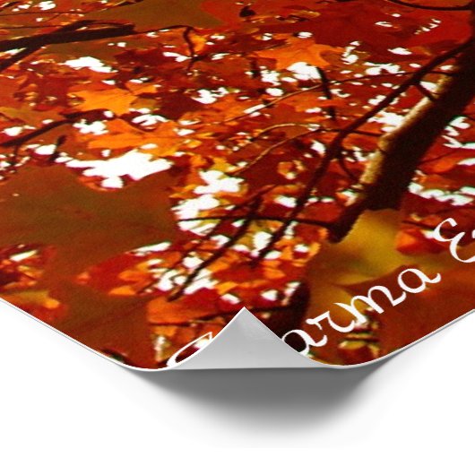 Fall Colors Poster (Hoek)