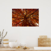 Fall Colors Poster (Keuken)