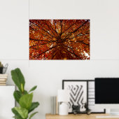 Fall Colors Poster (Thuiskantoor)