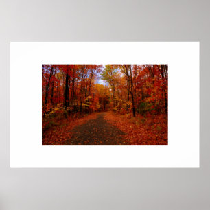 Fall Colors Poster