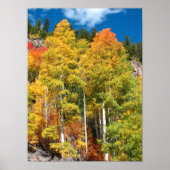 Fall Colors Poster (Voorkant)