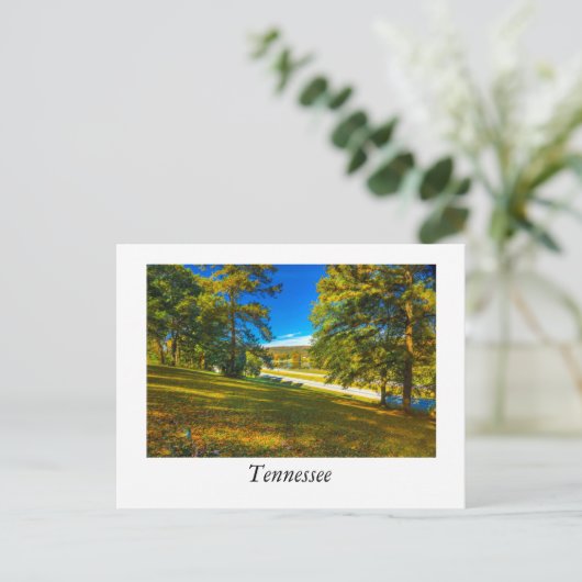 Fall Colors Tennessee Briefkaart (Staand voorkant)