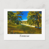 Fall Colors Tennessee Briefkaart (Voorkant)