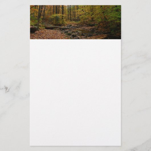 Fall Creek in Laurel Hill State Park Pennsylvania Briefpapier (Voorkant)