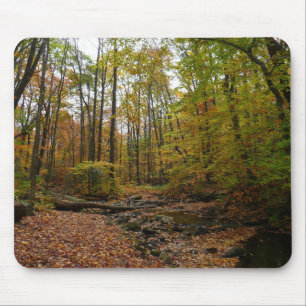 Fall Creek in Laurel Hill State Park Pennsylvania Muismat