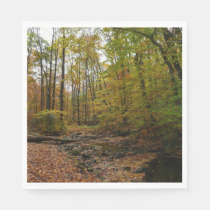 Fall Creek in Laurel Hill State Park Pennsylvania Servetten