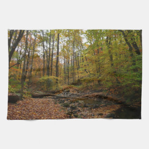 Fall Creek in Laurel Hill State Park Pennsylvania Theedoek