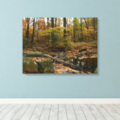 Fall Creek met reflectie bij Laurel Hill Park Canvas Afdruk (Insitu (Houten vloer))