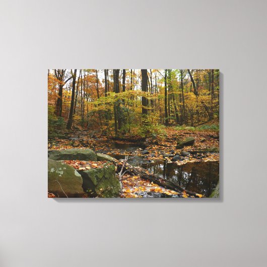 Fall Creek met reflectie bij Laurel Hill Park Canvas Afdruk (Voorkant)