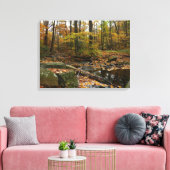 Fall Creek met reflectie bij Laurel Hill Park Canvas Afdruk (Insitu (Woonkamer))