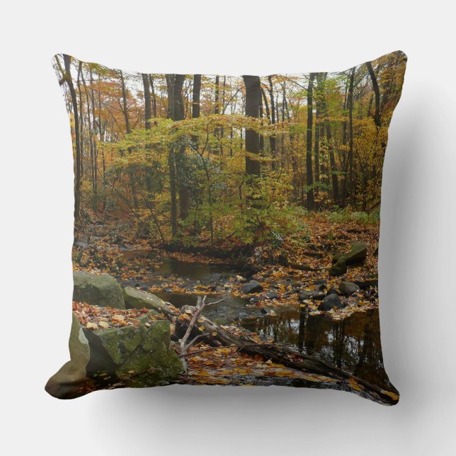 Fall Creek met reflectie bij Laurel Hill Park Kussen (Voorkant)