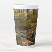 Fall Creek met reflectie bij Laurel Hill Park Latte Mok (Voorkant)