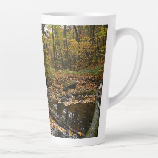 Fall Creek met reflectie bij Laurel Hill Park Latte Mok (Rechts)