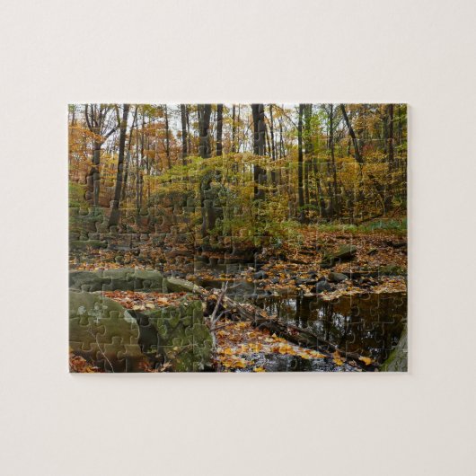 Fall Creek met reflectie bij Laurel Hill Park Legpuzzel (Horizontaal)