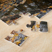 Fall Creek met reflectie bij Laurel Hill Park Legpuzzel (Zijkant)