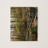 Fall Creek met reflectie bij Laurel Hill Park Legpuzzel (Verticaal)