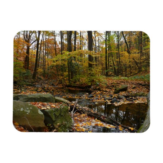 Fall Creek met reflectie bij Laurel Hill Park Magneet (Horizontaal)