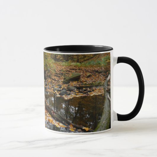 Fall Creek met reflectie bij Laurel Hill Park Mok (Rechts)