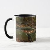 Fall Creek met reflectie bij Laurel Hill Park Mok (Links)