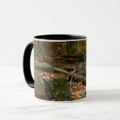 Fall Creek met reflectie bij Laurel Hill Park Mok (Voorkant links)