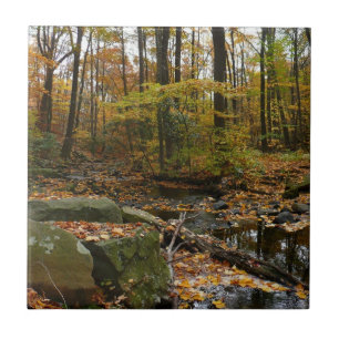 Fall Creek met reflectie bij Laurel Hill Park Tegeltje