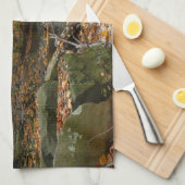 Fall Creek met reflectie bij Laurel Hill Park Theedoek (Quarter Fold)