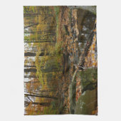 Fall Creek met reflectie bij Laurel Hill Park Theedoek (Verticaal)