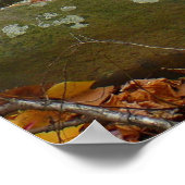 Fall Creek met reflectie in Laurel Hill Park Poster (Hoek)