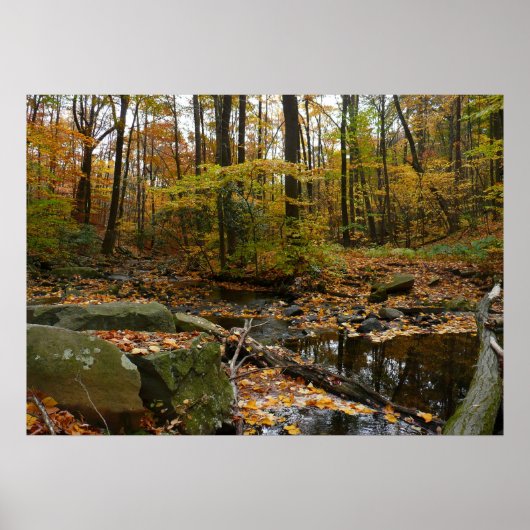 Fall Creek met reflectie in Laurel Hill Park Poster (Voorkant)