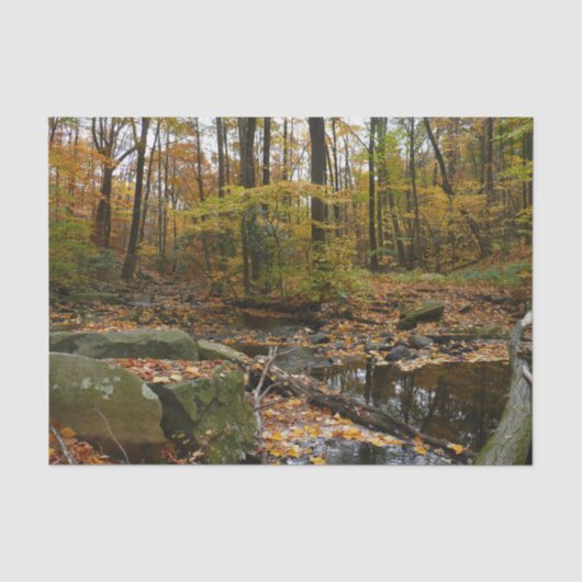 Fall Creek met reflectie in Laurel Hill Park Tissuepapier (Voorkant)
