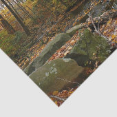 Fall Creek met reflectie in Laurel Hill Park Tissuepapier (Detail)