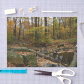 Fall Creek met reflectie in Laurel Hill Park Tissuepapier (Craft)