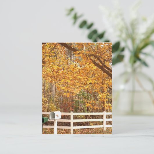Fall Day Postcard Briefkaart (Staand voorkant)