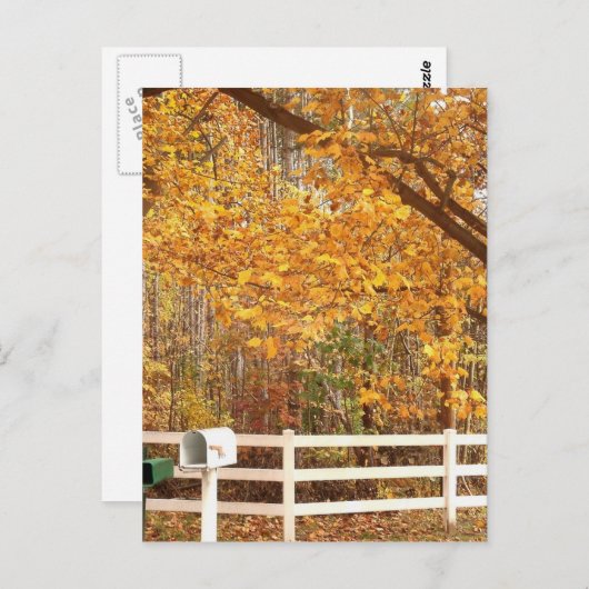 Fall Day Postcard Briefkaart (Voorkant / Achterkant)