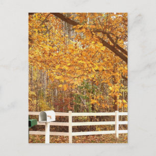 Fall Day Postcard Briefkaart