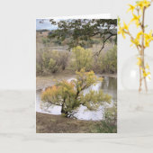 Fall Foliage at Good Earth State Park Kaart (Gele Bloem)