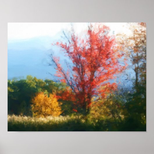 Fall Foliage Nature Photo Painting Poster (Voorkant)