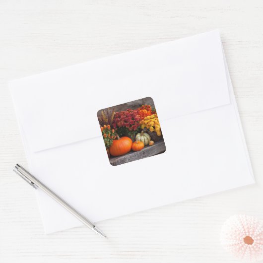Fall Harvest Tablescape - Autumn Pumpkins Flowers Vierkante Sticker (Envelop)