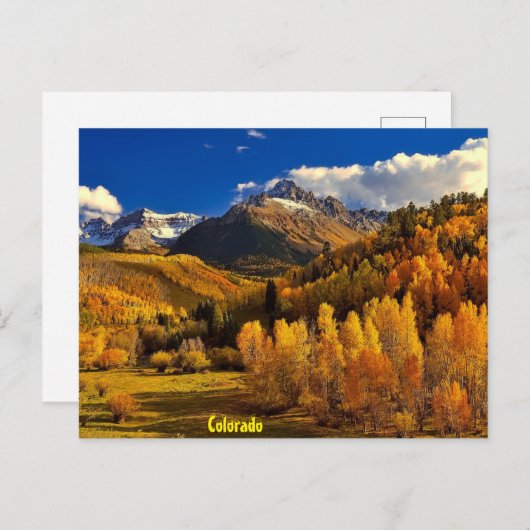 Fall in Colorado Briefkaart (Voorkant / Achterkant)