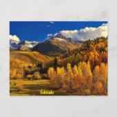Fall in Colorado Briefkaart (Voorkant)
