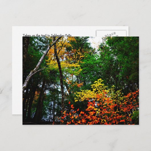 Fall in New England-postcard Briefkaart (Voorkant / Achterkant)