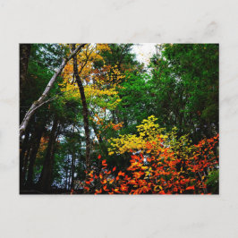 Fall in New England-postcard Briefkaart