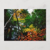 Fall in New England-postcard Briefkaart (Voorkant)